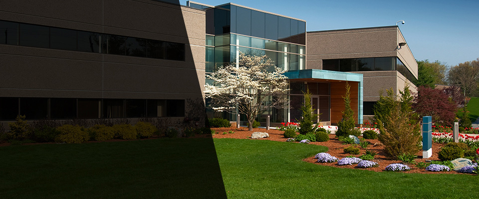 Elba Landscapers