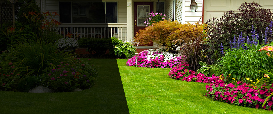 Elba Landscapers