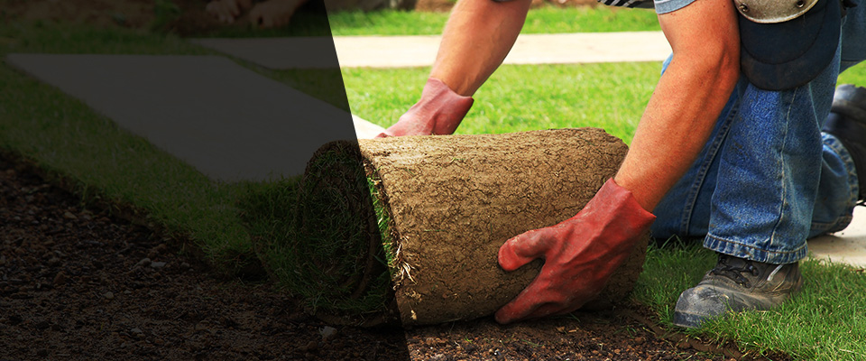 Elba Landscapers